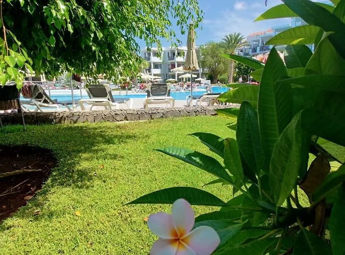 Private 150 Hg Tenerife Sur Los Cristianos